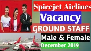 Spicejet Interview for Ground Staff |Airport ground staff vacancy |Spicejet  job 2019|