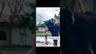 elephant 🐘 talking  said moment #funny