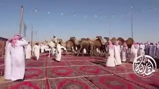 شيله ربعك قريشات لشبت حرايبها