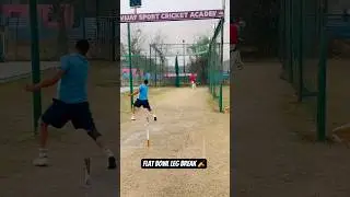 Flat bowl leg break 🏏 #cricket #youtubeshorts #cricketlover #foryou #ipl