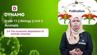 Grade 11 || Biology || Unit 2 || Part 9 || 2.4 The economic importance of animals (insects)