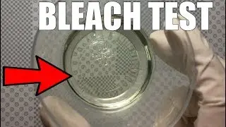How To Do Pregnancy Test With Bleach ✔️- Tips For Pregnancy
