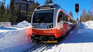 Tatransk&aacute; zubačka ●11.3.2022