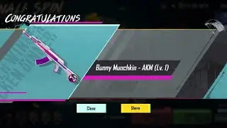 DIWALI SPINE BUNNY MUNCKIN- AKM CREATE OPENING @NITESHISLIVE__ 