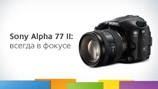 Связной. Обзор Sony Alpha 77 II