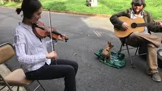 Forty Drops (of Cat) - Sarah Adams amazing fiddle progress with Jon Bekoff Project mentoring