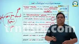 المراجعة المركزة عقيل الزبيدي|كيف تقرا العربي في يومين | النفي في محاضرة 1