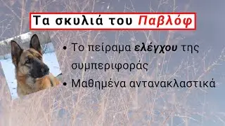 Τα σκυλιά του Παβλόφ - Η θεωρία της μάθησης