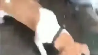 Un perro valiente