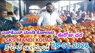 28-01-2026#KOLAR SKS MANDI TOMATO PRICE