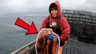 Топ-10 самых крутых уловов крабов на Аляске 🦀