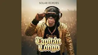 Electric Safari
