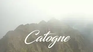 Catogne