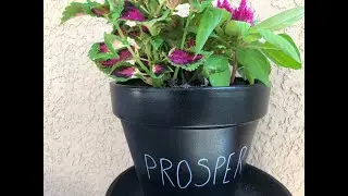 Rae Dunn flower pot makeover l Farmhouse l gardening shorts