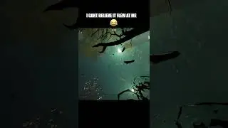 This Flying Object Came Out Of NOWHERE!