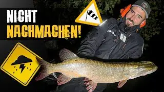 ALLE brechen ab &ndash; wir fangen im STURM! :tornado::fire: