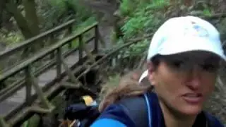 Hiking Steep Ravine trail on Mt. Tamalpais