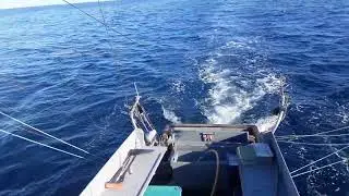 F/V Corregidor Tuna fishing off the coast of Fort bragg