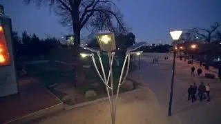 Solar Tree - Leadsun Australia