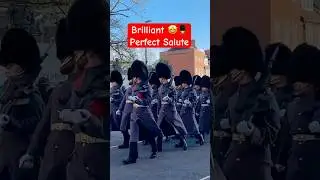 FANTASTIC! WINDSOR CASTLE GUARD 💂&zwj;♂️ WITH NUMBER 12 COMPANY IRISH GUARDS NEW 💂&zwj;♂️