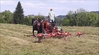 Изготовление силоса с лошадьми