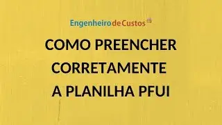 Como preencher corretamente a planilha PFUI