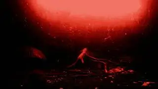 Filters And Elm Street #shorts #short