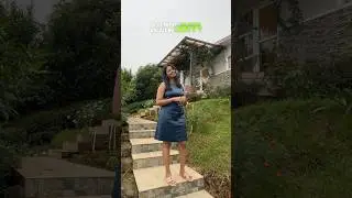 Planters Punch Resort in Ooty 🤩 In middle of tea gardens 💚✅