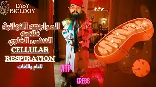 المراجعه النهائية | التنفس الخلوي | cellular respiration | senior 2 | مفيش سؤال هيقف معاك 😍💪