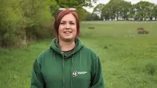 Celebrating Green Farm - Reaching Out to Ancient Woodland