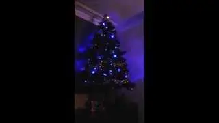 Xmas tree flashing lights