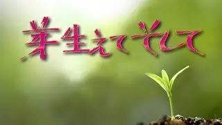 芽生えてそして / 菅原洋一　[Cover]