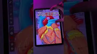 App: ZoomArt 💕 #ipadnotes #notetaking #humananatomy #digitalart #notecard #notes #ipad #applepencil