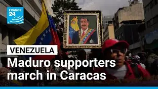 Maduro supporters protest in Caracas as interim leader determine to remain in control &bull; FRANCE 24