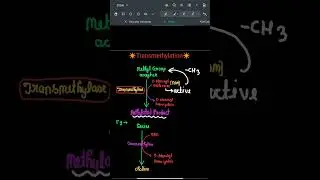 Transmethylation #shorts #chemistry #biochemistry #protein #metabolism #neet #pw #doctor #viral