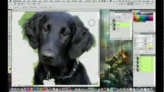 Adobe Photoshop CS5 Tutorial - How to Remove A background From an Image