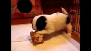 MOV01422