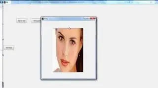Face Aging Conditional Adversarial Autoencoder Matlab Projects