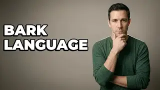 How Do Dogs Express Emotions Through Barking?