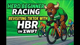 Herd Beginner Racing - TikTok