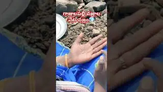 వజ్రం వేటలో 15 లక్ష ల వజ్రం | Gajullapalli diamonds hunting video #gajulapalli #diamonds #diamond #
