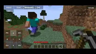 minecraft 1.14.2 server