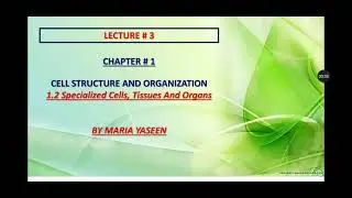 1.2 # Specialized cells, Tissues and Organs
