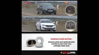 Fungsi Spring Buffer Dan Manfaat Nya Domo Buffer Dokter Mobil