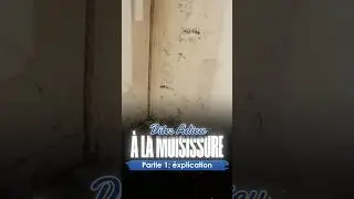 Why do we have mold around windows? 🌧️