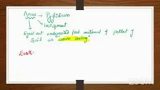 Smart Academy's ZOOLOGY CEE Preparation Online Class | For Admission 9868295462|