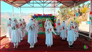 Girls Performing on the eve of Annual Day #annualday#reels#trending#song#trending #video #youtube.