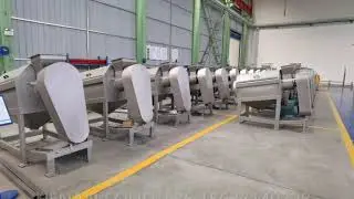 Avocado Fruits Destoner Designed for Avocado Oil Extraction Process