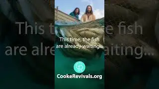 Unlock Your Limitations