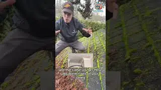 Roof Cleaning in Vancouver, Surrey & Nearby | We Clean Roofs!